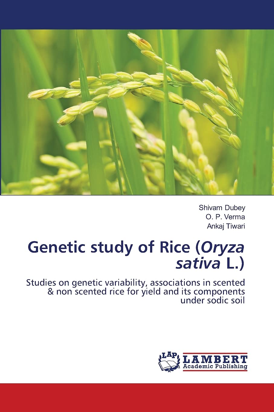 Genetic study of Rice (Oryza sativa L.): Studies on genetic variability, associations in scented & non scented rice for yield and its components under sodic soil