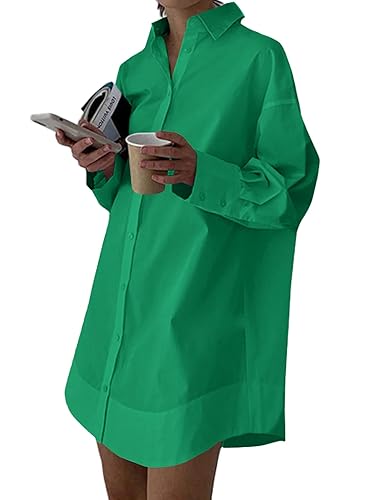 LYANER Women's Casual Shirt Dress Collar V Neck Button Down