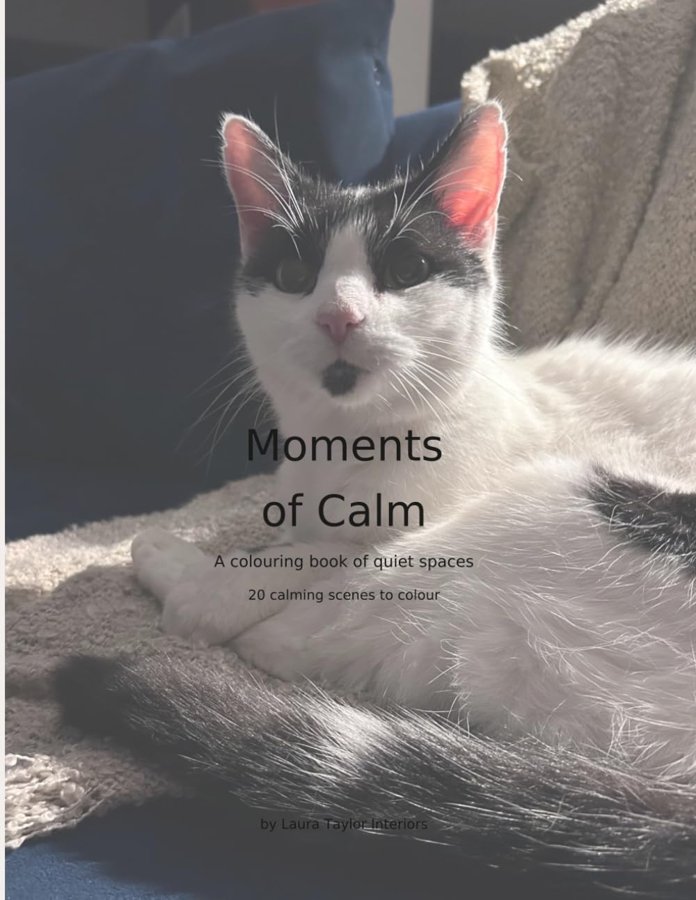 Moments of Calm: A colouring book of quiet spaces