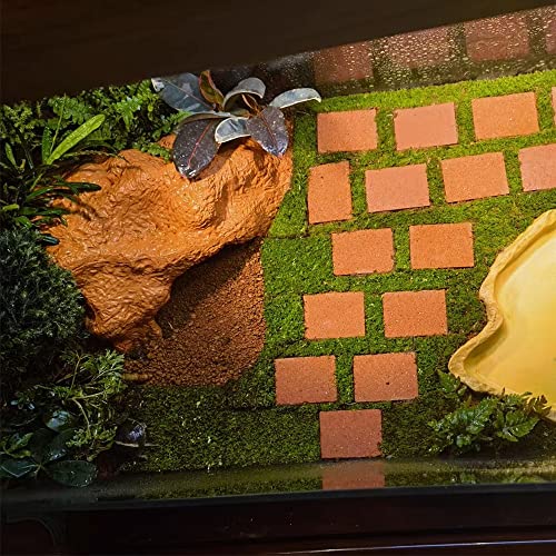 Flushbay Reptile & Amphibian Habitat Hideouts Cave House Natural Clay Large Reptile Hiding Terrarium Decorations For Bearded Dragon Lizards Geckos Leopard Chameleons Frogs Turtles Snakes #TOP3