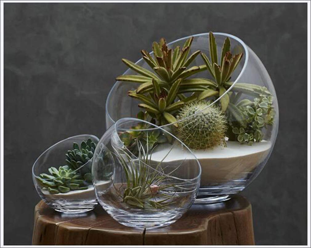 Coupe Décorative En Verre Clair Forme Feuille – Bol à Bonbons 7 Pouces