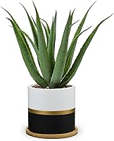 Vista 1 de Briful Suculentas Plantas Artificiales Plantas Falsas de Aloe Vera en Maceta Dorada y Negra de Granja, Planta de Agave Artificial para Decoración