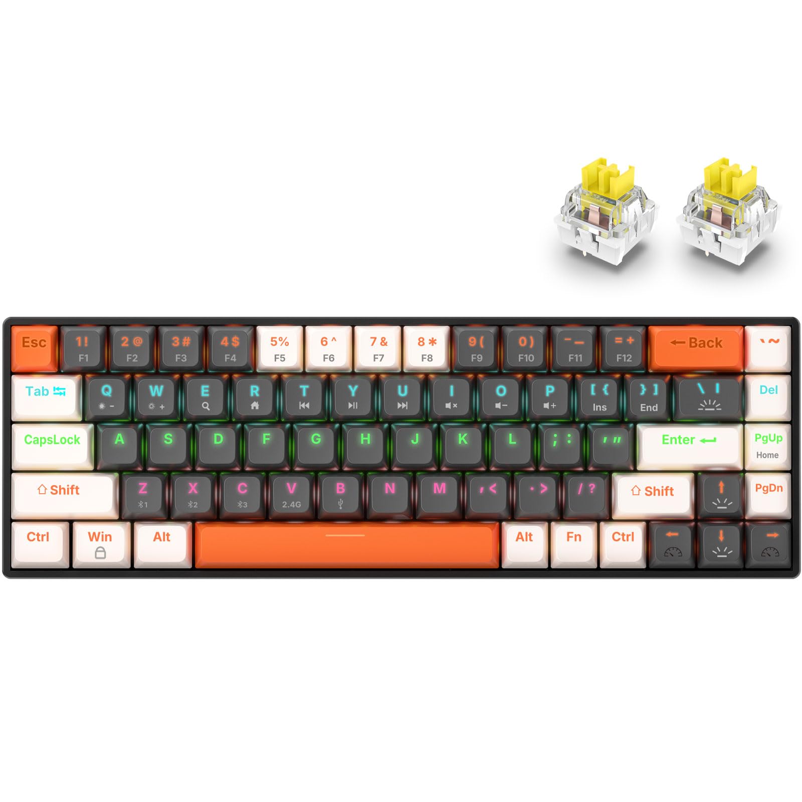 EX68 Clavier Gamer Mécanique sans Fil QWERTY 65%, Bluetooth 5.1