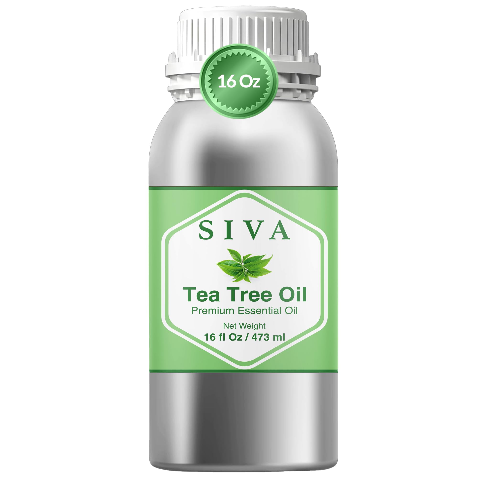 Siva Tea Tree Essential Oil - 16 Fl Oz – 100% Natural Tea Tree Oil - for Diffuser, Face, Skin Care, Aromatherapy, Hair Care, Scalp and Body Massage