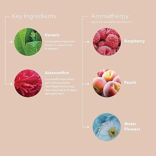 Miniatura 4 de Pureology Strength Cure Conditioner  For Damaged, Color-Treated Hair  Softens & Strengthens Hair  Sulfate Free  Vegan