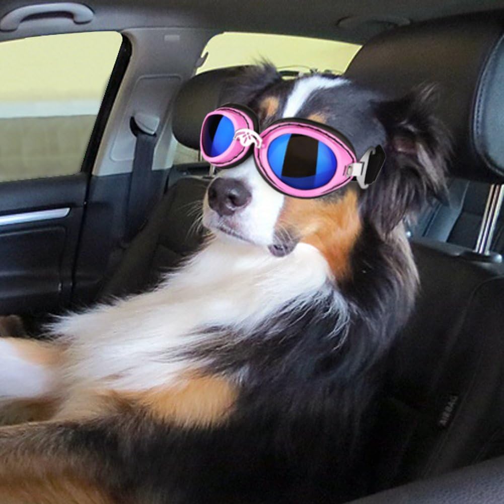 large cycling sunglasses