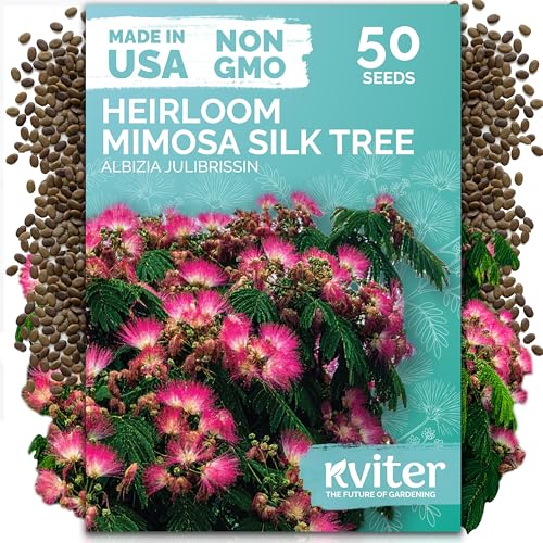 KVITER 50 Mimosa Silk Tree Seeds (Albizia Julibrissin) Pink Flowering Trees Fragrant Blooms & Pollinator Magnet Non-GMO Great Both as Bonsai Tree Seeds for Indoor Garden & Outdoor Landscape