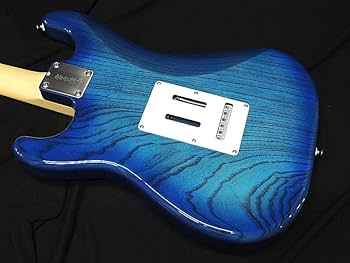 Amazon | FGN FUJIGEN フジゲン NST110MAH SBB ストラト