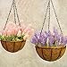HOUSWOUKER Hanging Planter Hanging Flower Basket 2Pack with Coco Coir Liner Metal Chain 12inch Round Wire Plant Growers Holder Flower Pots Hanger for Indoor Outdoor Garden Porch Decoration