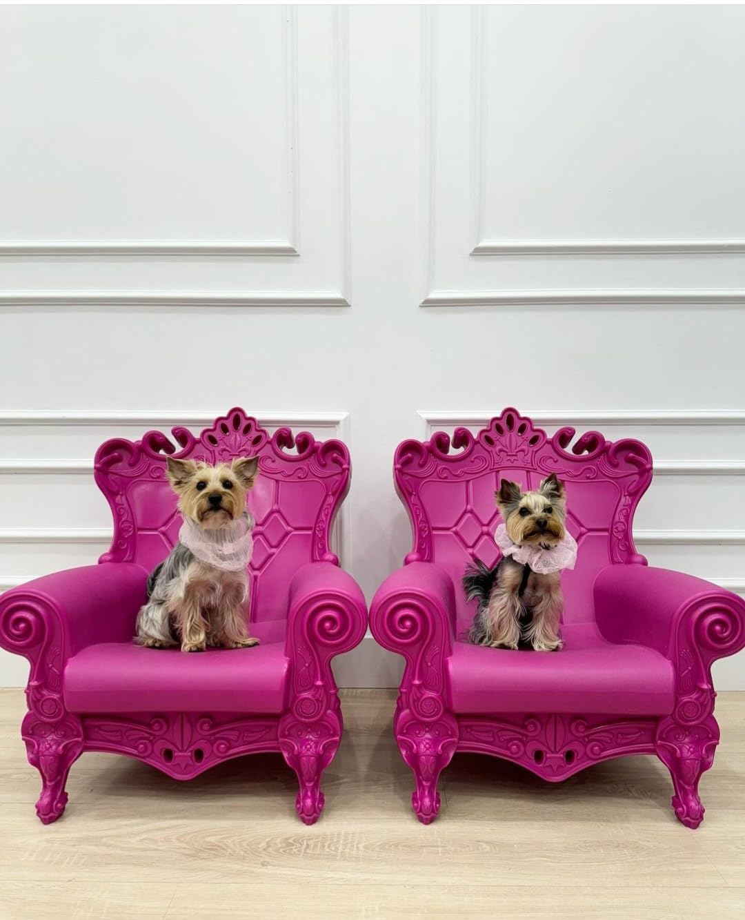 SLIDE Poltrona Trono Queen of Love Fucsia - Design Barocco Moderno per Interno e Esterno - in Polietilene per Giardino Salotto Hotel - Made in Italy - 103.5 x 98 x 112.5 cm