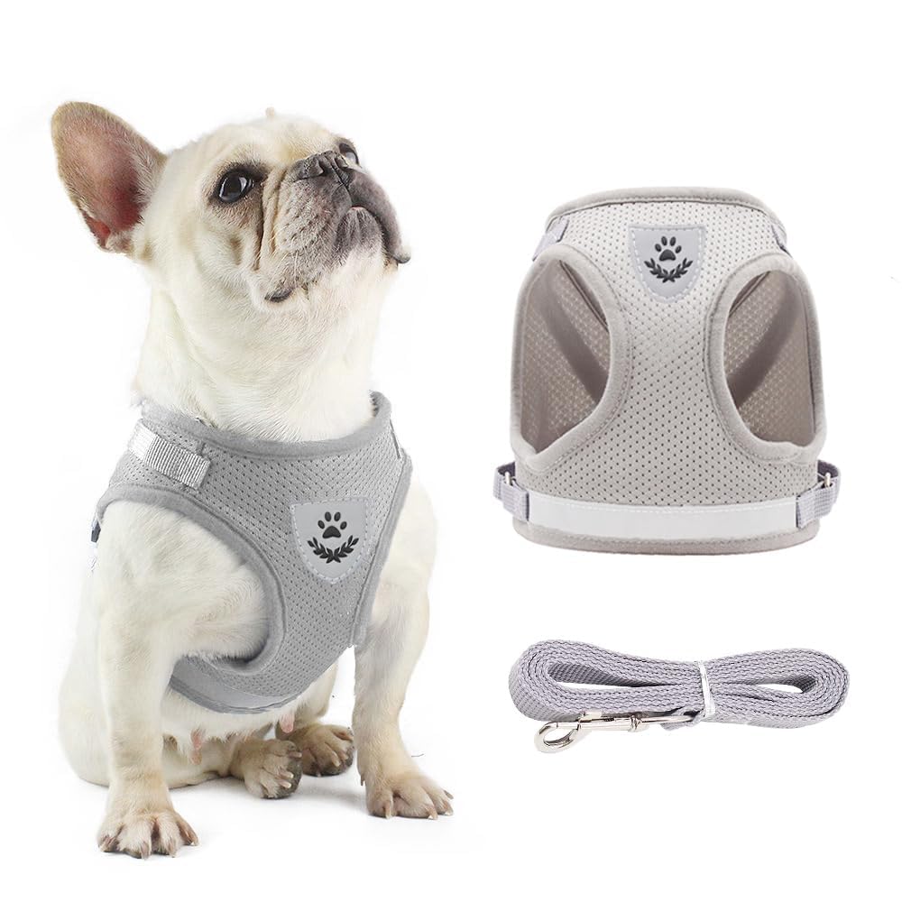 Cat Vest Harness and Small Dog for Walking, All Weather Mesh Harness, with Reflective Strap, Size M (Grey)