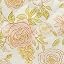 Rose Beige