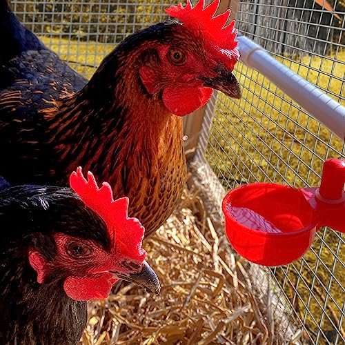 (6 Pack) Automatic Poultry Waterer Cup Drinker for Chickens Ducks Quail Chicks Ducklings Chooks Bebederos Para Gallinas