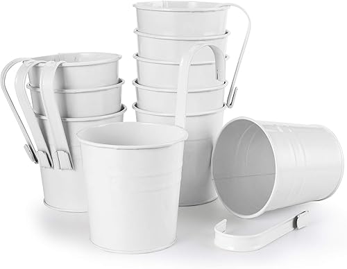 Miniatura 2 de Foraineam Paquete de 12 macetas colgantes de metal blanco, para balcón, jardín, macetas con ganchos desmontables y agujero de drenaje para