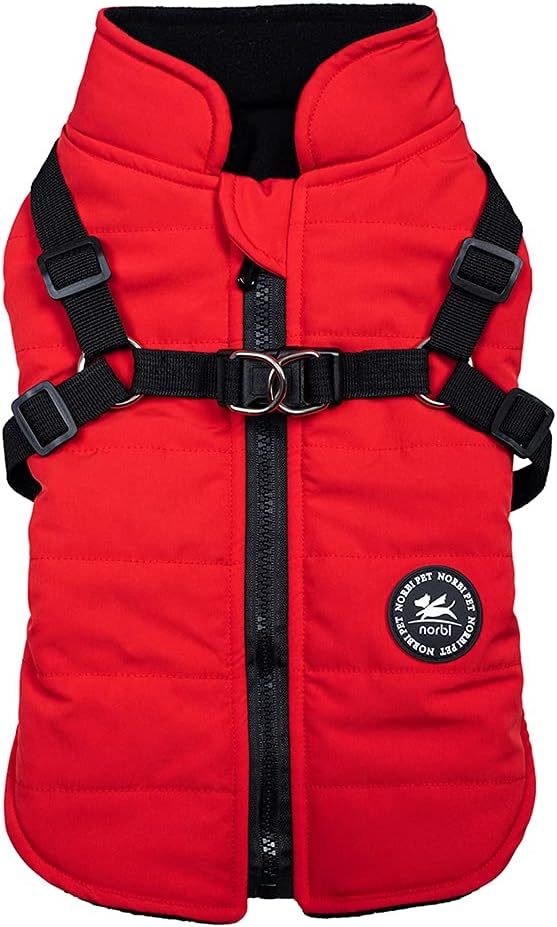 Manteau d'hiver pour chien