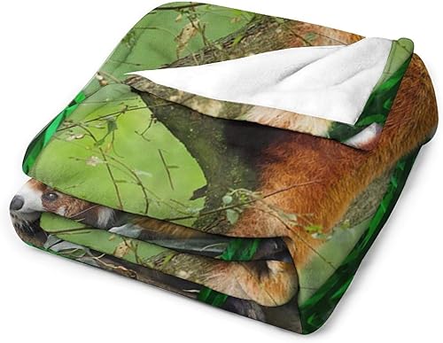 Miniatura 3 de Manta de panda menor, mantas de panda menor, regalos para niñas, manta de franela de forro polar suave y cálida para cama, sofá, 40 x 50 pulgadas