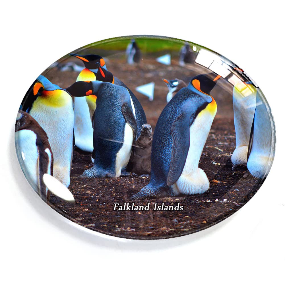 Falkland Islands Magnet Fridge Refrigerator Freezer Magnet Sticker Souvenir Decorations Oval Crystal Magnet Kitchen Whiteboard