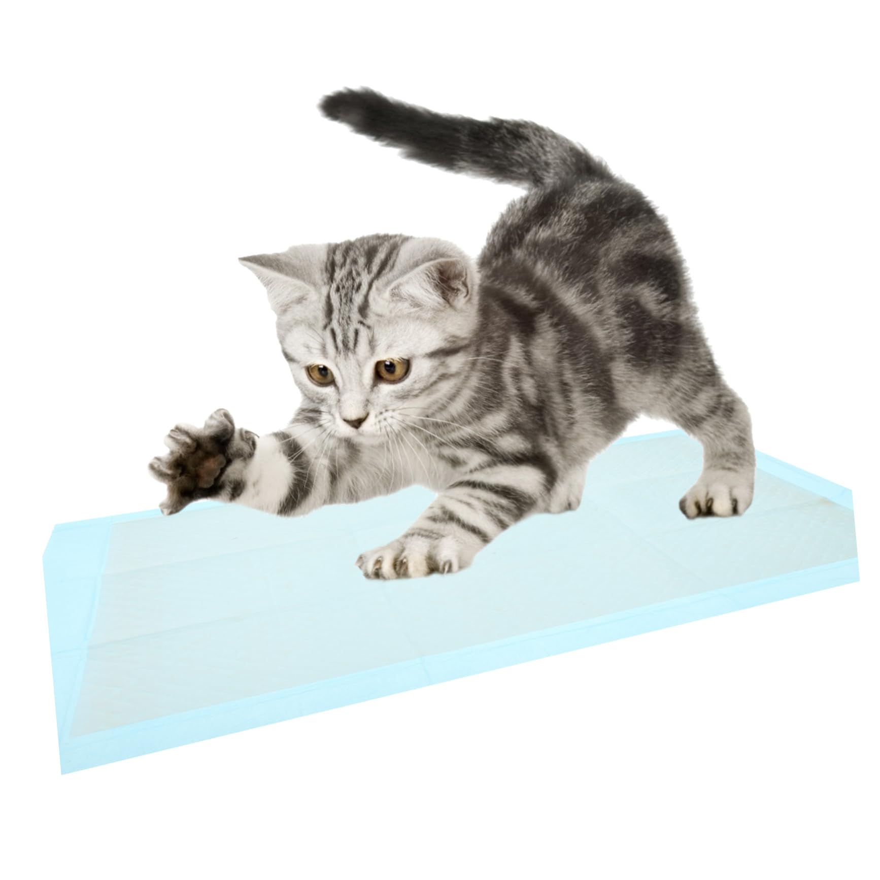 Didiseaon 50pezzi Tappetini Igienici Assorbenti e Impermeabili Per Cani e Gatti Confezione Da Perfetti Per Addestramento Di Animali Domestici Adatti Climi Umidi Per Uso Gabbie Di Piccoli