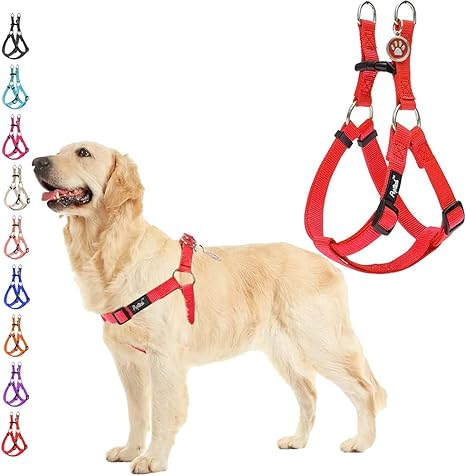 no pull dog harness amazon