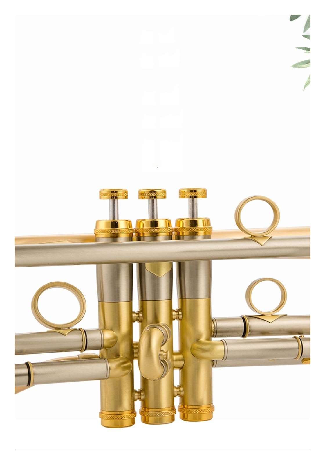 trąbka instrument Profesjonalna trąbka TR800 ze szczotkowanej złotej miedzi posrebrzana o wysokiej jakości wykonania w instrumencie trąbkowym B(Color:Gold)