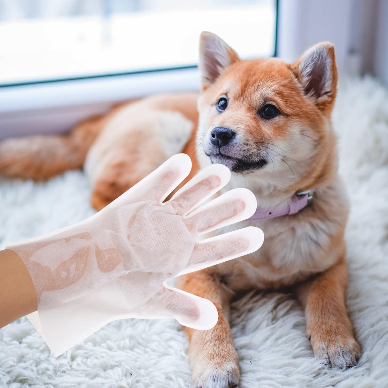 Didiseaon 18pezzi Guanti per Pulizia e Massaggio per Animali Domestici da Non Guanti per Bagno Senza Lavaggio per Gatti e Cani Accessori per Animali Domestici
