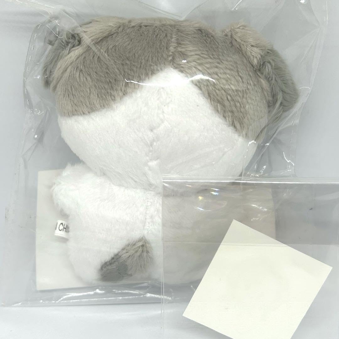 Amazon.co.jp: &TEAM K ケイ マスター ぬいぐるみ エンティーム bmr22