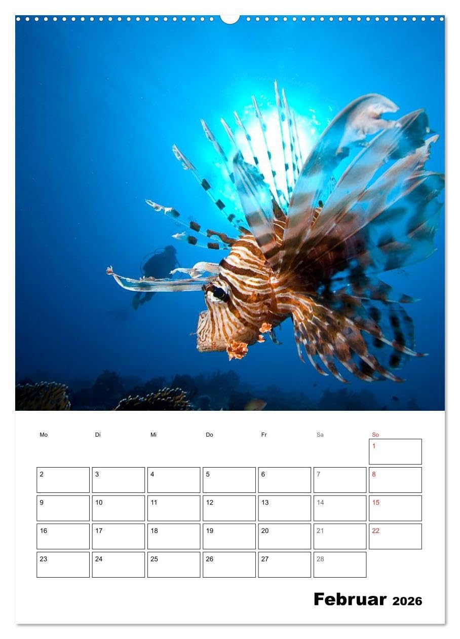 Tauchen - Abtauchen und Staunen (hochwertiger Premium Wandkalender 2026 DIN A2 hoch), Kunstdruck in Hochglanz: Abtauchen in die faszinierende Unterwasserwelt unserer Meere
