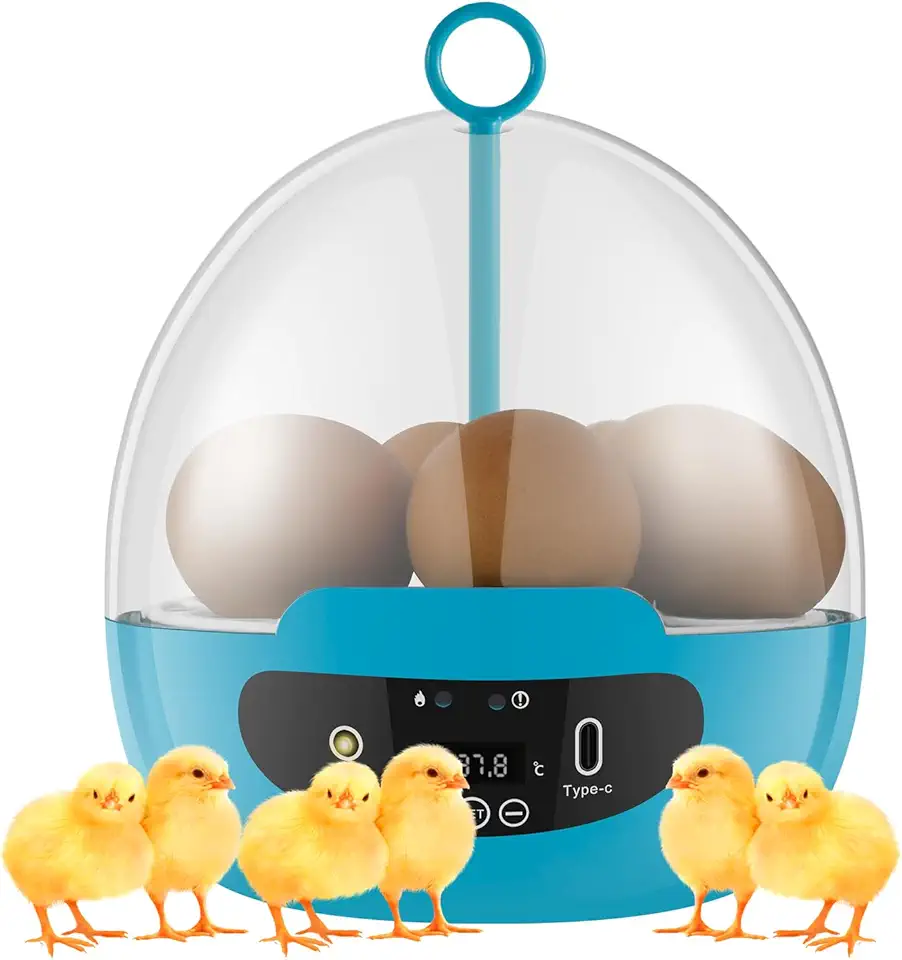 Incubadora de ovos para chocar 6 ovos incubadora de galinha com rotação automática de ovos de 360° e controle de temperatura, incubadora prática com luz de ovo de LED para incubação de pintinhos,