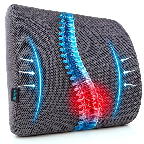 The Lumbar Support Pillow By Vive