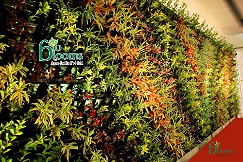 BIO BLOOMS AGRO INDIA PRIVATE LIMITED Plastic Hanging Pot -Blackcolour, Standard, Pack of 15 Frame with 45 Pots