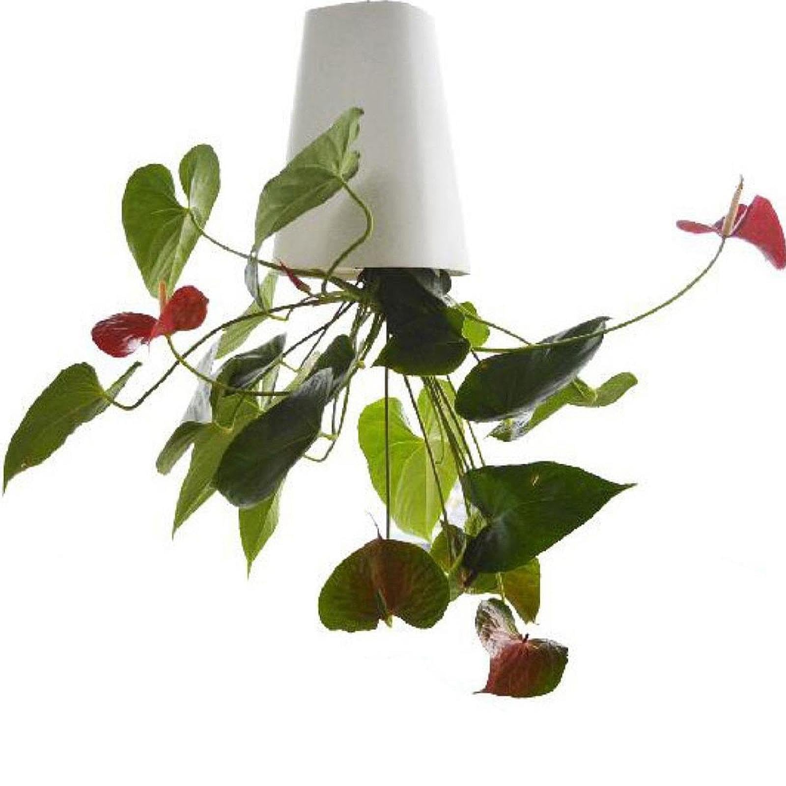 Amazon | Qialexicon フラワーポット スカイプランター ギフト 自己