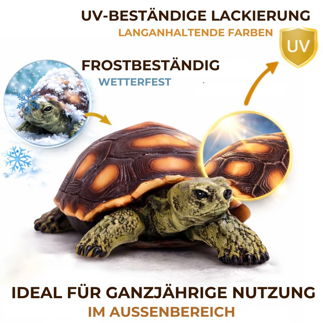 Petite figurine de jardin tortue – Décoration de jardin en polyrésine pour jardin, terrasse et balcon – Résistante au gel et aux UV – Figurine animale pour l'intérieur et l'extérieur