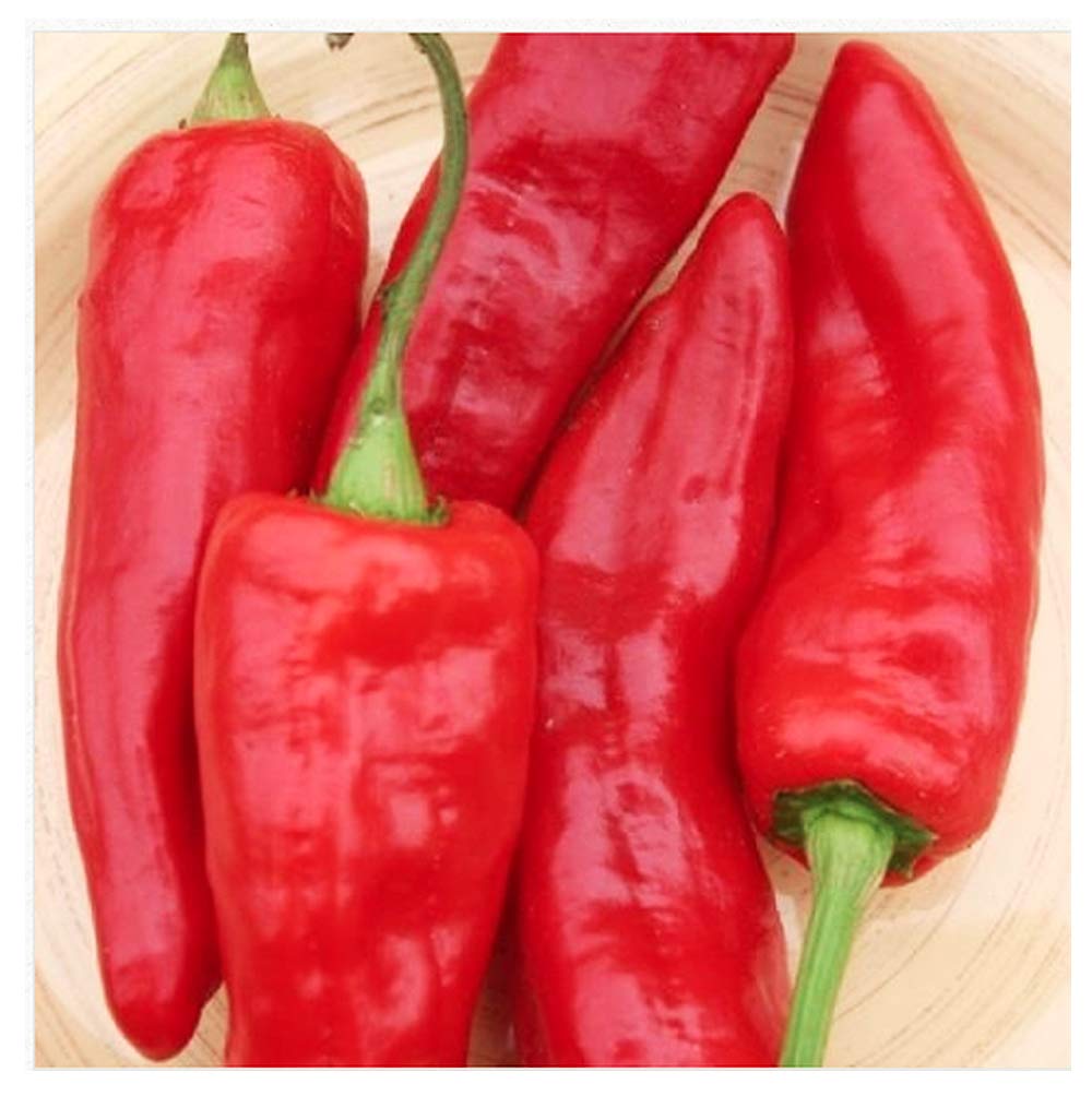Red Marconi Pepper Seeds - Sweet Pepper Good for Stuffing