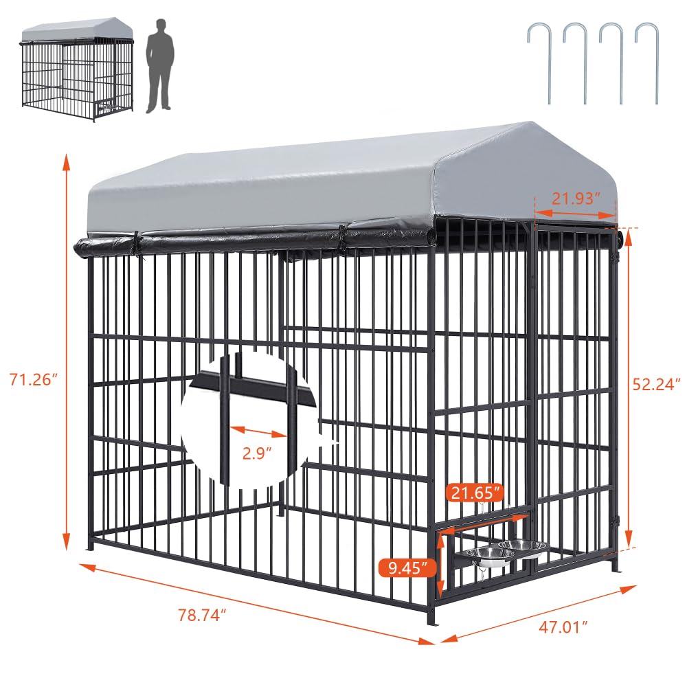 https://m.media-amazon.com/images/I/61Qgig0OdmL.jpg