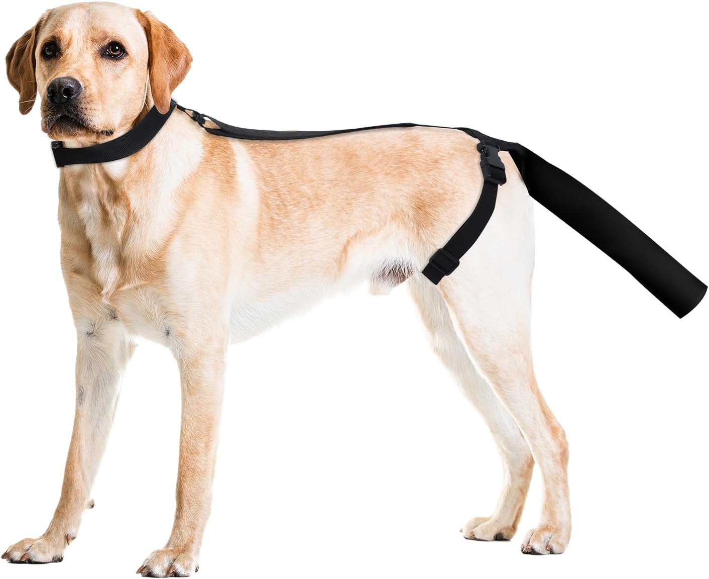 OHCOZZY Dog Tail Protector, Adjustable Tail Guard for Medium and Large Dogs, Breathable Diving Cloth Cover to Assist in Recovery from Injury(M,Black) M Black