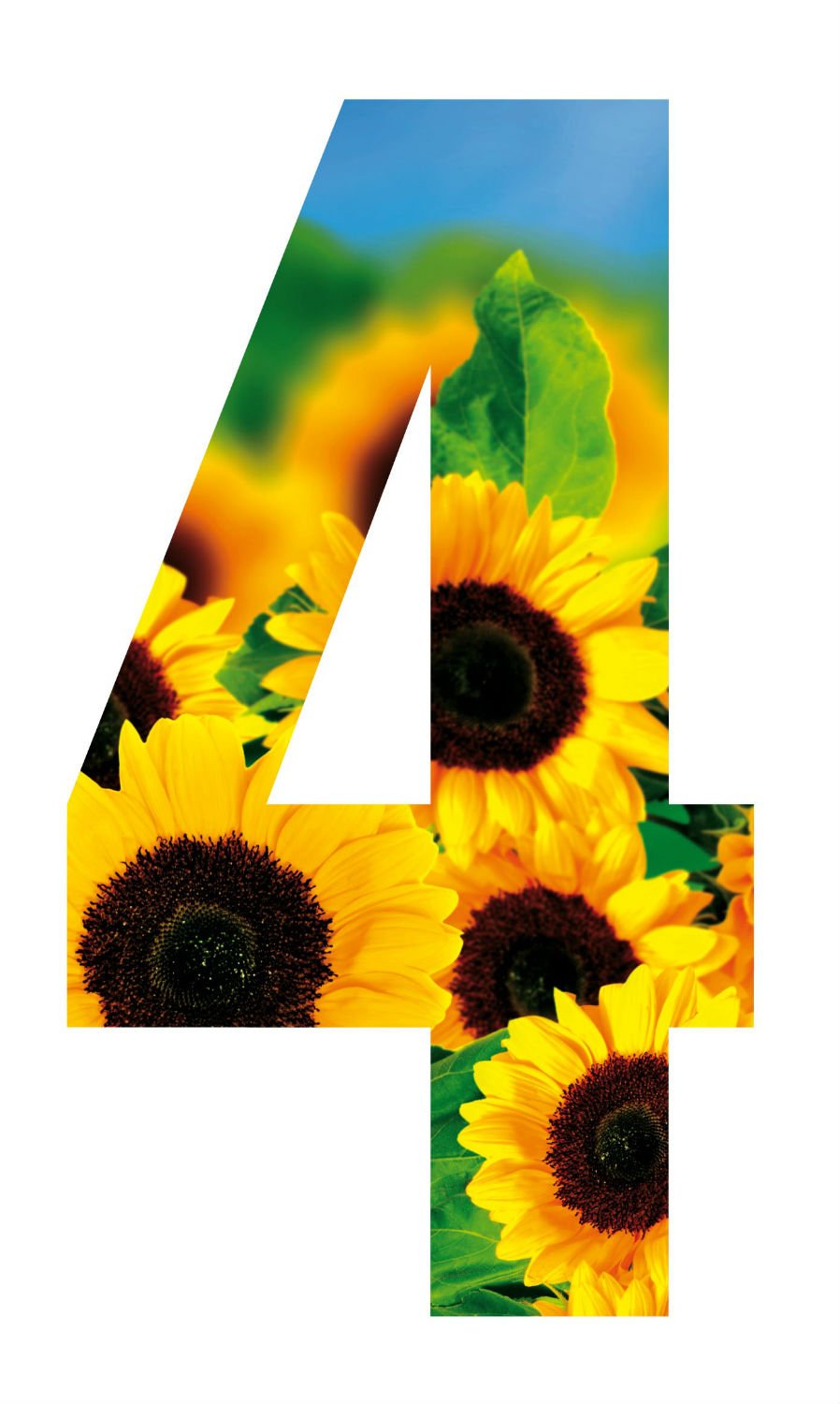 MONOGRAM Classic Signs Wheelie Bin Number Sunflower 4