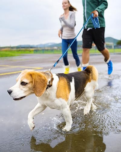 Miniatura 75 de Correa larga para perro con hilos reflectantes de 15 pies, 20 pies, 30 pies, 50 pies, correas elásticas resistentes para perros de raza pequeña
