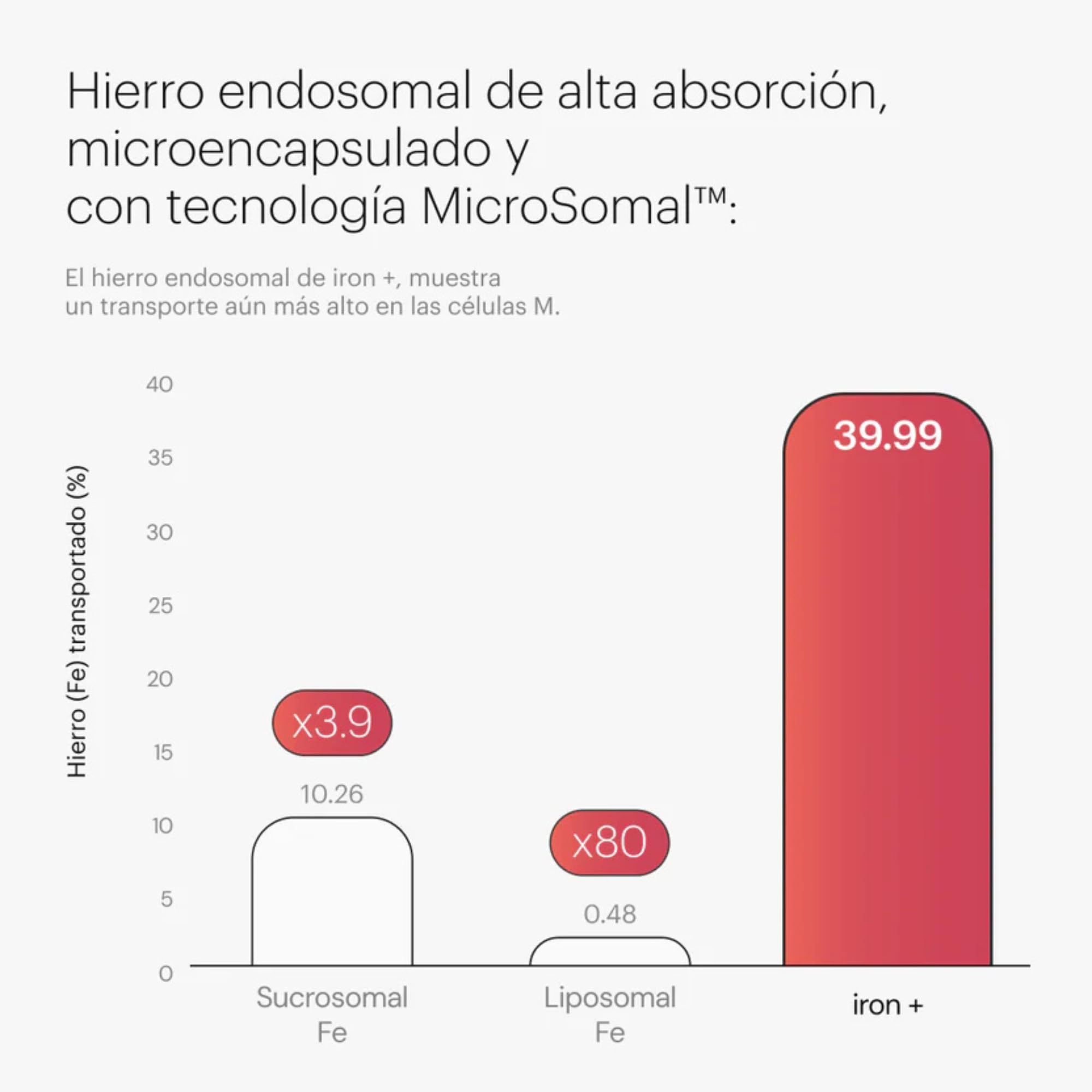 Hierro Alta Absorción con Vitamina C y Vitaminas B 30 mg Hierro Endosomal (SunActive®) + B12 + B6 y Ácido Fólico Alta Tolerancia Digestiva 60 Cápsulas be levels Iron+