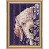 I Didn't Do It Bucilla Heirloom Collection I Didn't Do It Counted Cross Stitch Kit-5''X7'' 18 Count