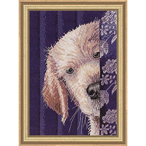 I Didn't Do It Bucilla Heirloom Collection I Didn't Do It Counted Cross Stitch Kit-5''X7'' 18 Count