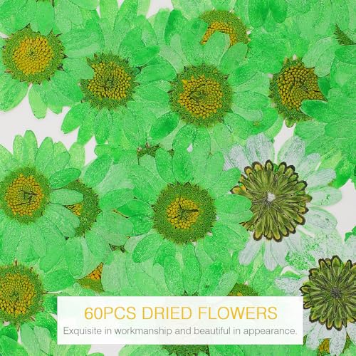 Flores secas naturales HEANUJJ 60 piezas para manualidades miniatura 6