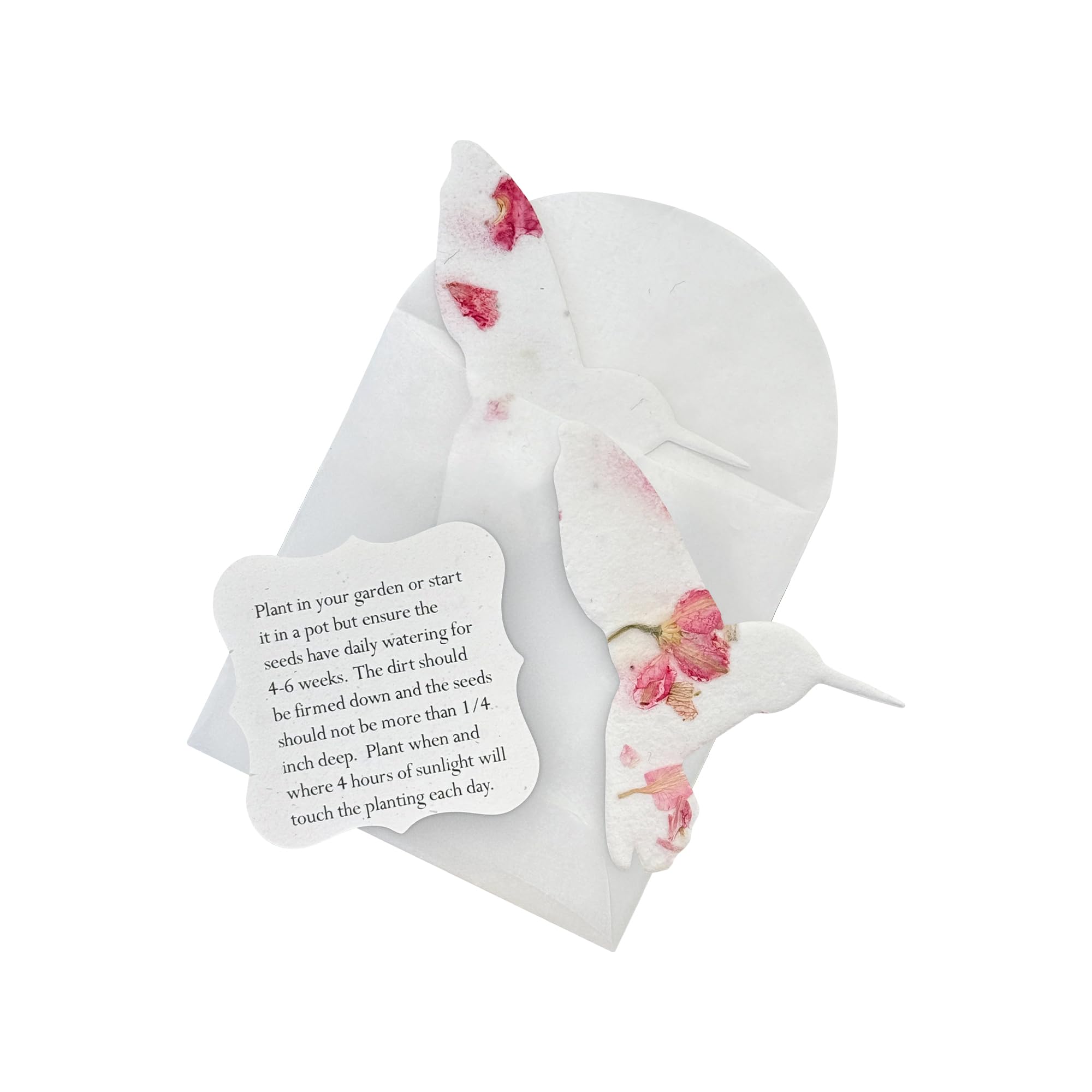 Papier de graines fleurs sauvages colibri rose avec enveloppe x24
