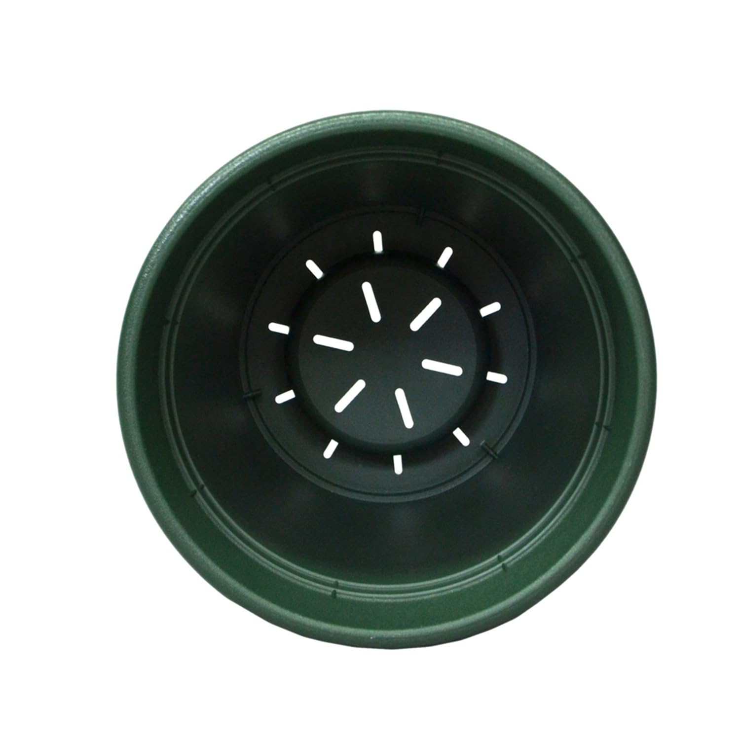 Amazon | アップルウェアー 鉢 プランター プラ鉢 ロゼアポット 240型