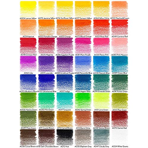 ARTEZA Colored Pencils, 48 Wax-Based Color Pencils, Vibrant Coloring Pencils in Tin Box for Adults, Professional Art Supplies