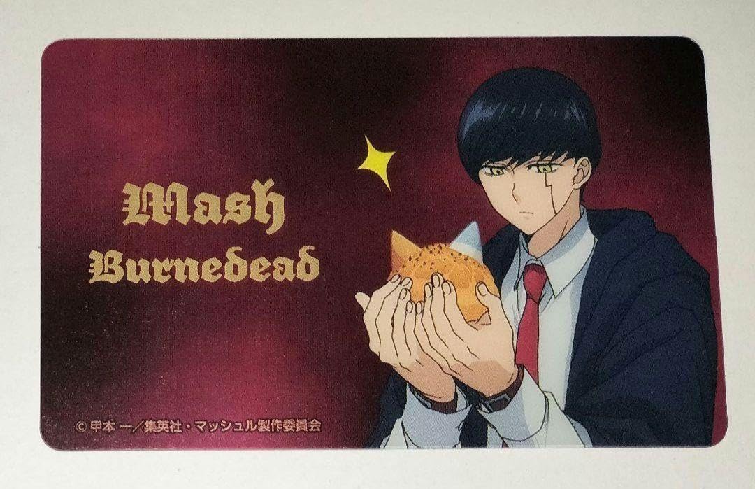 Amazon.co.jp: マッシュル マッシュ クリアカード アップ