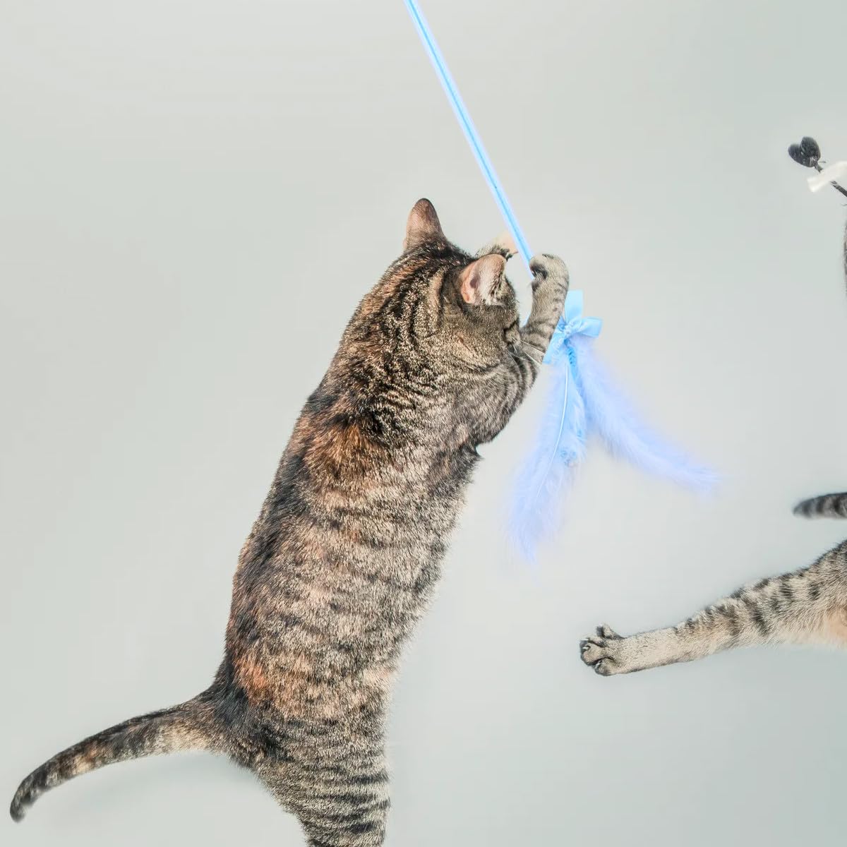 DOITOOL 9piezas Juguetes Interactivos para Gatos Pack Cat Teaser Diseño y Divertido Material para Mantener Tu Gato y Feliz