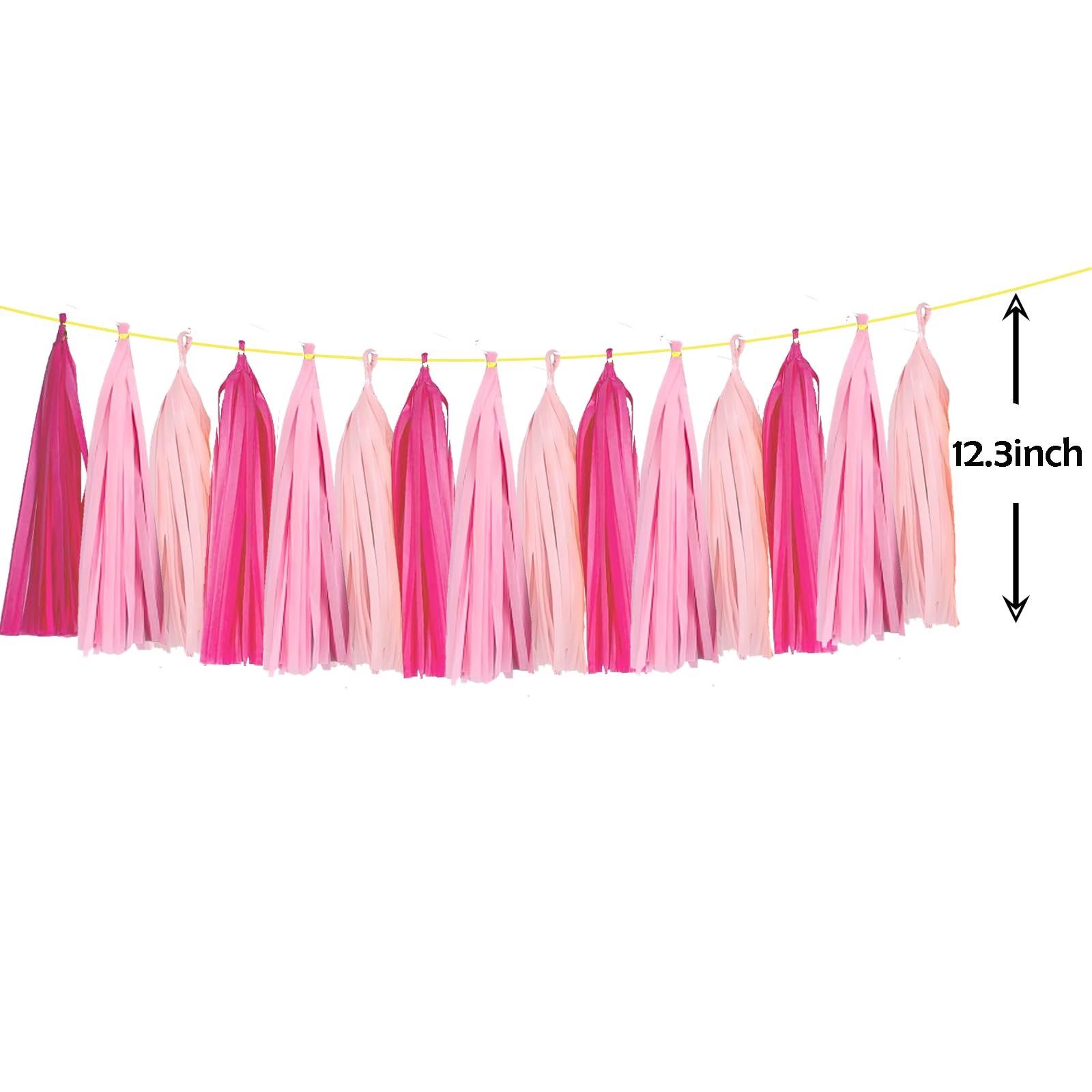 ZOOYOO Tassel Garland Tissue Paper Tassel Banner Table Decor,DIY Kits for Girls Women Birthday,Wedding,Bridal Shower,Bachelorette,Anniversary,Pack of 15(Hot-Pink,Light-Pink)