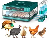 Chocadeira Incubadora Automática Bivolt Para 130 Ovos Certificada Pelo Inmetro Bt-400 Beltempo