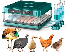 Chocadeira Incubadora Automática Bivolt Para 130 Ovos Certificada Pelo Inmetro Bt-400 Beltempo