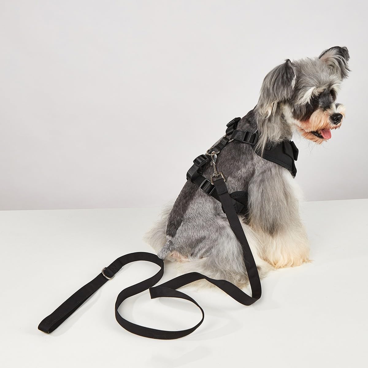 Arnés de esmoquin para perro, arnés ajustable para mascotas, sin tirones, para perros pequeños y medianos, traje de boda para perros con pajarita, disfraz de fiesta (negro, XXL)